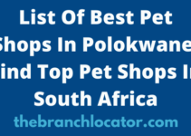 List Of Best Pet Shops In Polokwane, 2023, Find Top Pet Shops In South Africa