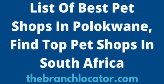List Of Best Pet Shops In Polokwane, 2023, Find Top Pet Shops In South Africa